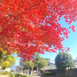 きたやまのひとりごと・・・