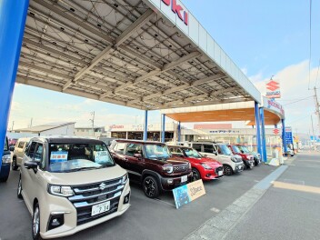 スズキの日いかがですか？