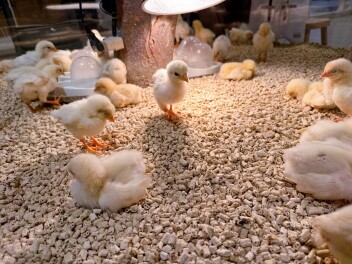 ☆★営業再開★☆