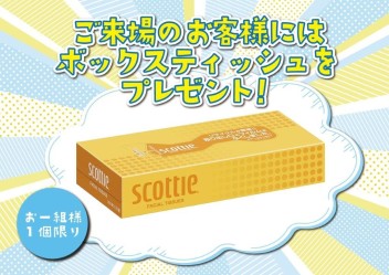 本日から通常営業♬