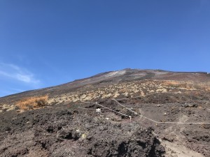 IMG_0263