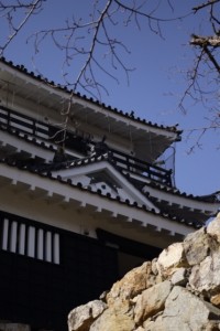 image1