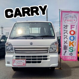 すぐ乗れる！FOOKSおすすめのキャリィ！