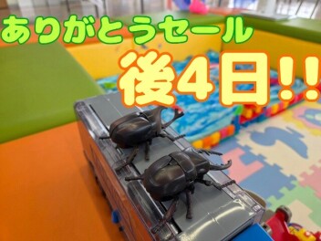 ありがとうセール絶賛開催中！