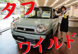 【激★渋・げき★しぶ】ハスラーに新型タフワイルドが登場☆★店頭にて展示しております！