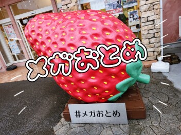 おみせにGO!!で行ってみよう!!