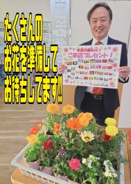 お花のプレゼント始まりました！！