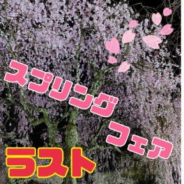４月もラスト！GWスタート！