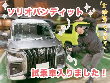 大決算やっております～～！