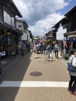 今日のふうちゃん　☆　新型スーパーキャリィ