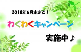 わくわくキャンペーン実施中！