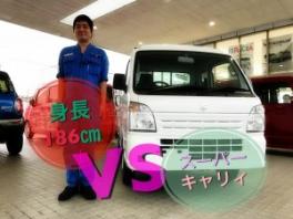 身長186㎝の僕とスーパーキャリイ
