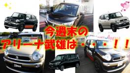 今週末は小型推し！！