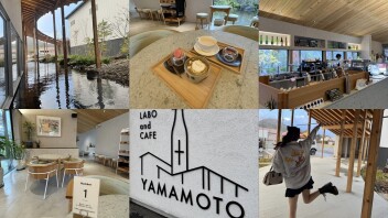 最近のおすすめカフェ