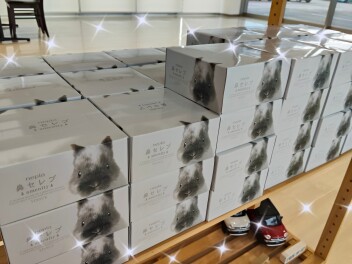 ✨車検入庫プレゼント✨