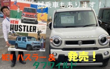 ＮＥＷハスラー＆タフワイルドいよいよ登場