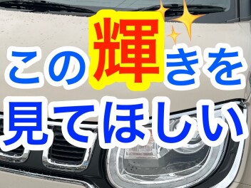 これやっとけば間違いなし