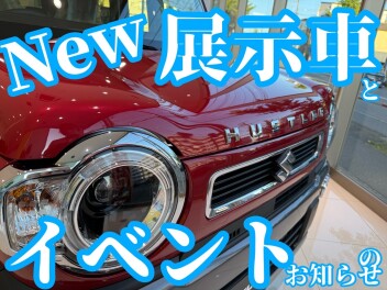 新しい展示車です☆