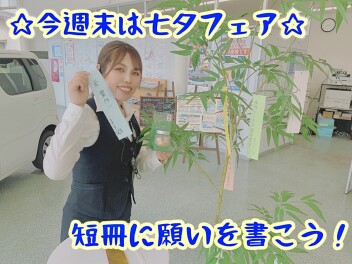 ☆笹と短冊あります！七夕フェア☆