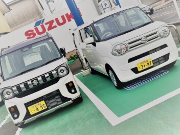 ソフトベージュってどんな色？