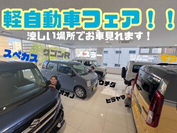 軽自動車お探しの方へ朗報です！！！