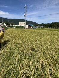 【ラパン＆スペーシア】即納車 情報更新【第二弾】