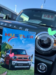 【11月29日～30日:１１月最終展示会開催】魅力がたくさん軽自動車　ハスラーの魅力！