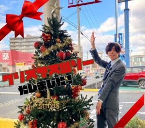 クリスマスツリー出しましたっ♪