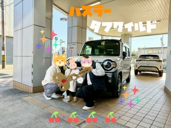 ハスラー　タフワイルド納車！！