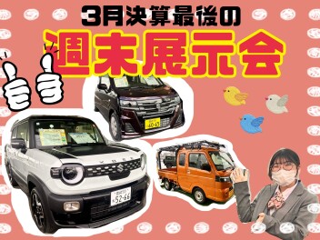 今週末は週末展示会！