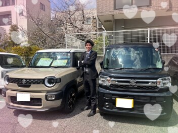 春です！試乗車盛りだくさんです！