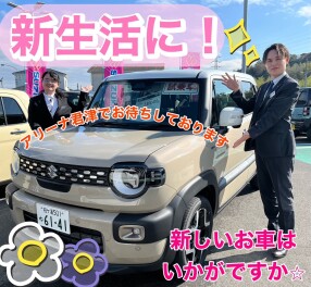 人気車種勢ぞろい！今週末はアリーナ君津へ☆彡