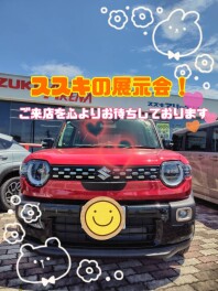 春の展示会♪