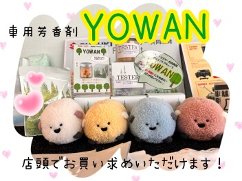 まるで森林浴？！「YOWAN」販売中！