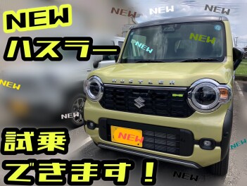 NEWハスラー試乗車あります！！