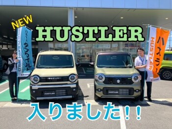 ハスラー/タフワイルド展示車入りました‼