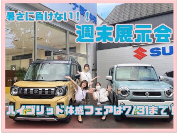 ハイブリッド体感フェアは7/31まで！