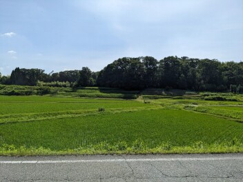 梅雨明けしました～！！！