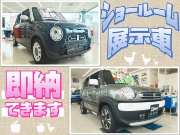 【NEW】ショールーム展示車入りました
