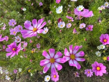 タイヤキャンペーン実施中！