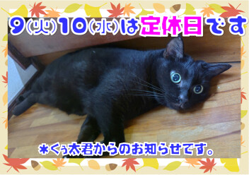 定休日のおしらせ！