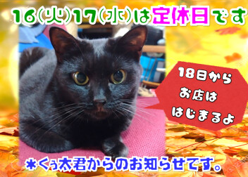 定休日のおしらせ！