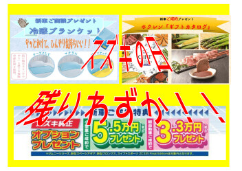 スズキの日は６／１６（月）まで！！