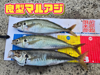前原釣倶楽部　☆釣果情報☆