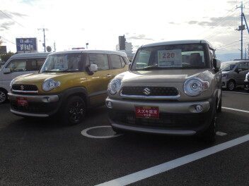 XBEE（クロスビー）入庫いたしました。