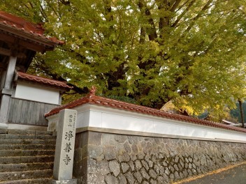 紅葉を見に行ってきました