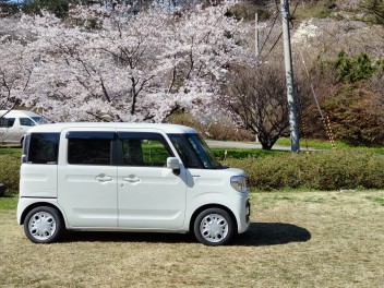 ★☆★桜とスペーシア★☆★