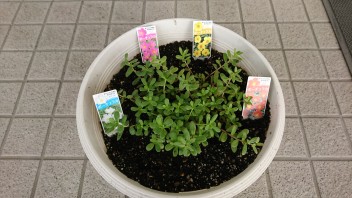 涼しくなってきましたね♪