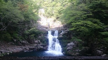 自然を感じてきました（^O^）