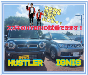 スズキの低燃費車がたくさん！即納車も・・・
